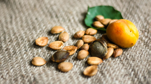 Aprikosenkerne: Schützt Vitamin B17 wirklich vor Krebs?