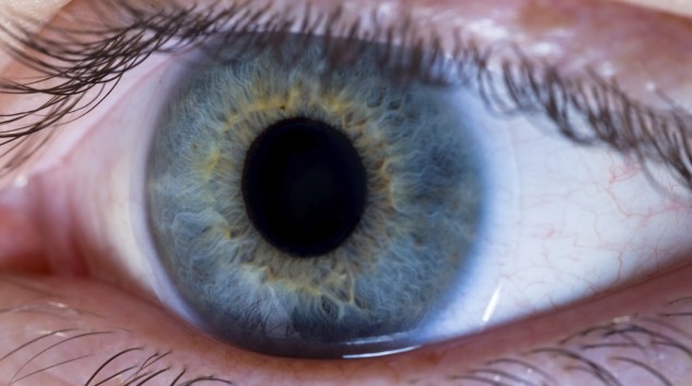 Eine weiche Kontaktlinse im Auge.