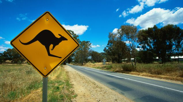 Das Bild zeigt ein Schild mit einem Känguru.