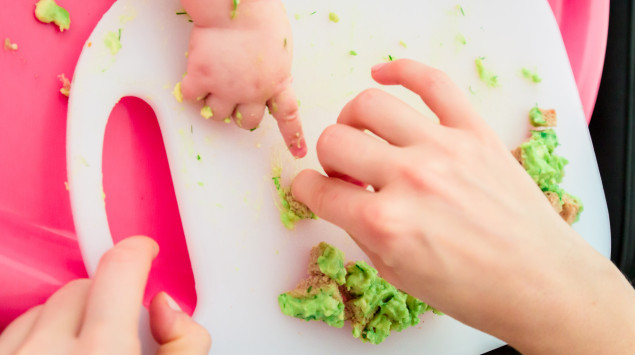 Man sieht eine Erwachsenen- und eine Babyhand mit Brothäppchen mit Avocado