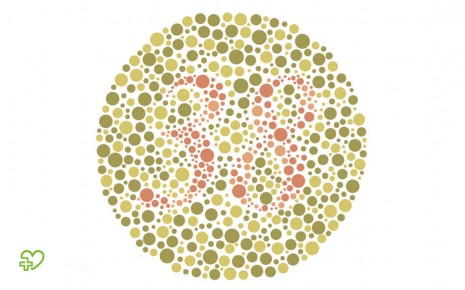 Das Bild zeigt eine Farbtafel zur Diagnose einer Rotblindheit
