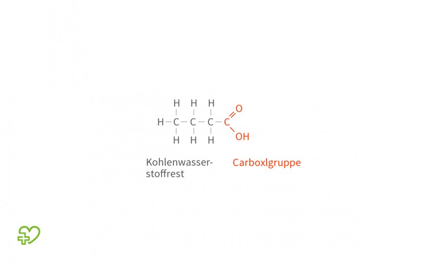 Die chemische Grundstruktur einer Fettsäure.