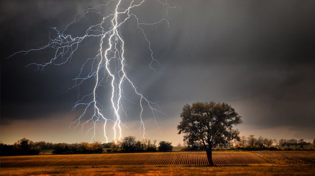 Ein Gewitter über einem Feld mit einem einzelnen Baum.