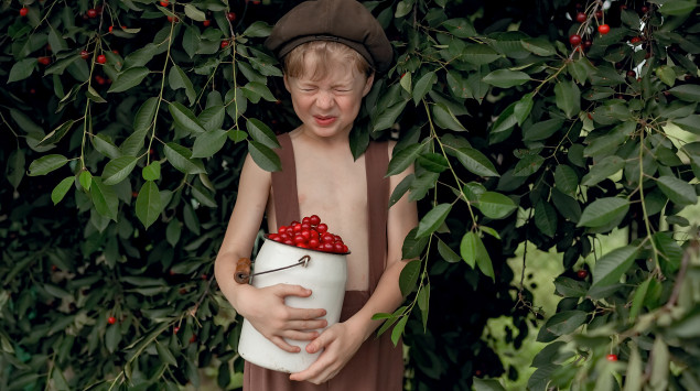 Ein Junge steht mit einer Kanne voller Sauerkirschen vor einem Kirschbaum und verzieht das Gesicht