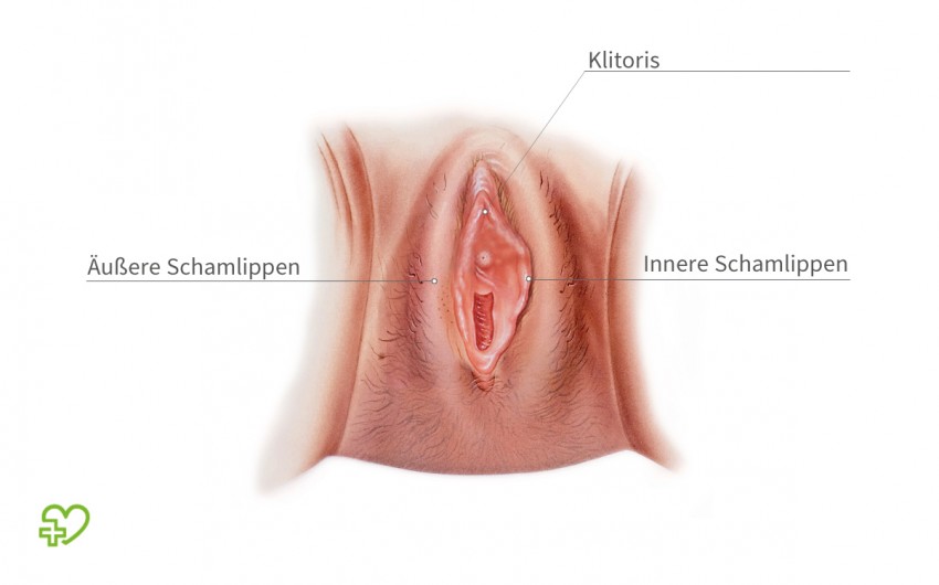 Klitoris beschnittene Sklavin: Beschneidung