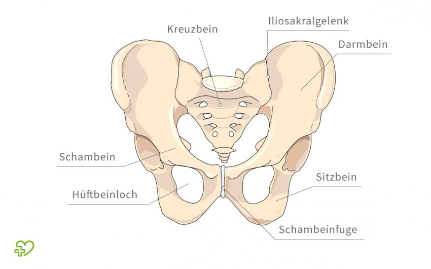 Beckenschiefstand: Abbildung des Becken-Skeletts