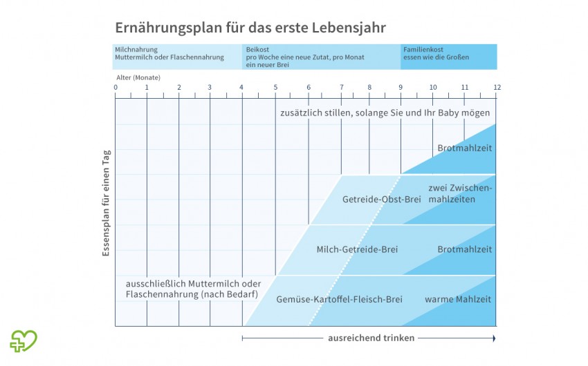 Tabelle Babys Ernährung im ersten Jahr