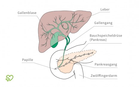 Bauchschmerzen gallenbeschwerden