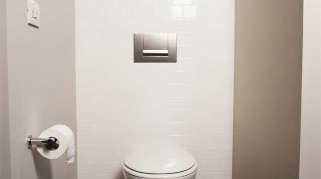 Das Bild zeigt eine Toilette.