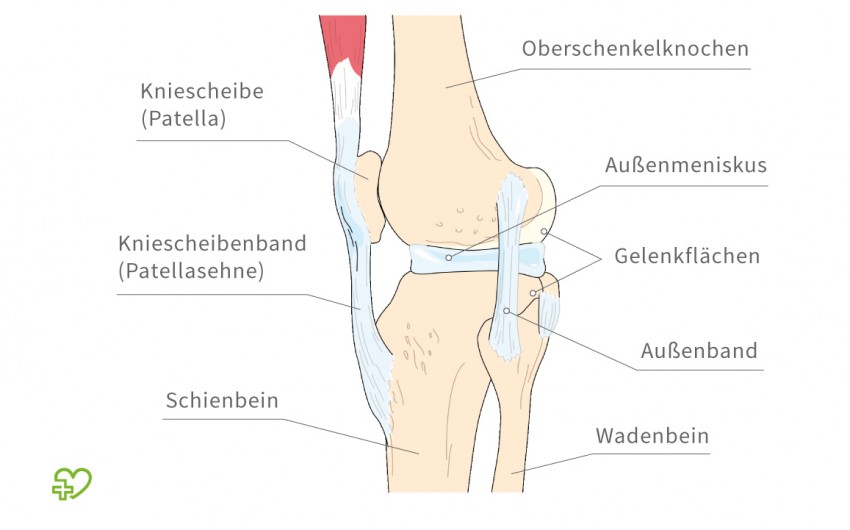Innen kniescheibe knieschmerzen neben Knieschmerzen: Symptome