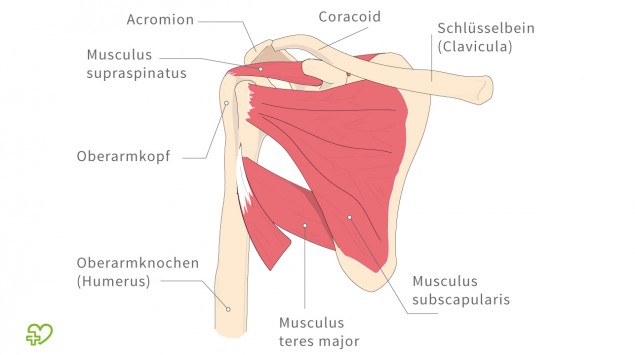 Röntgen - Onmeda.de