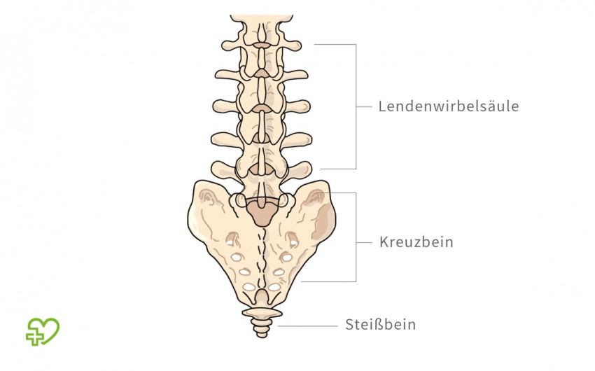 Steißbein knoten am Schmerzen und