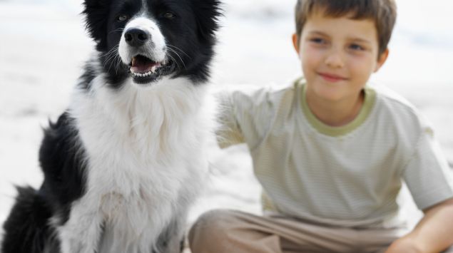 Das Bild zeigt einen Jungen und einen Hund.