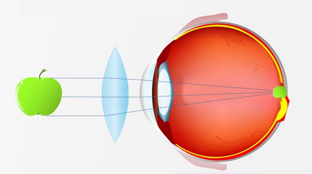 Das Auge Des Menschen Aufbau Und Funktion Onmeda De